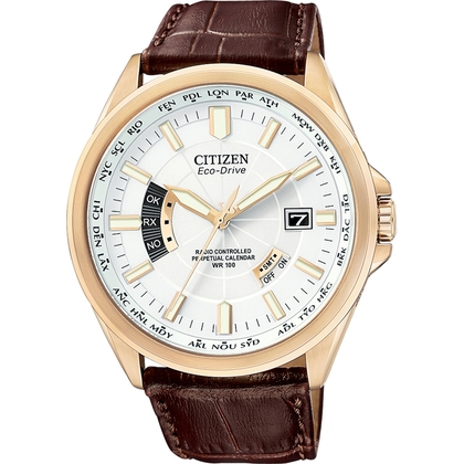 Citizen Eco-Drive Radio Controlled CB0013-04A Watch Strap 23mm