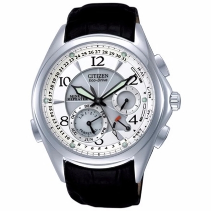 Citizen Eco-Drive BL9000-32A Watch Strap 21mm