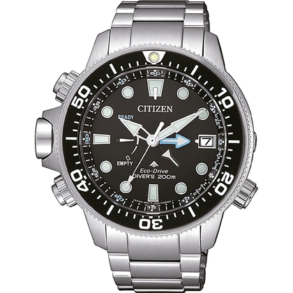 Citizen aqualand watch band clearance