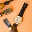 LIC Gallanto Ostrich Leg Leather Watch Strap Matte Dark Brown