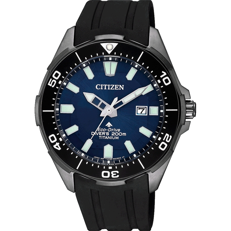 Citizen Promaster Eco-Drive BN0205-10L Watch Strap 22mm